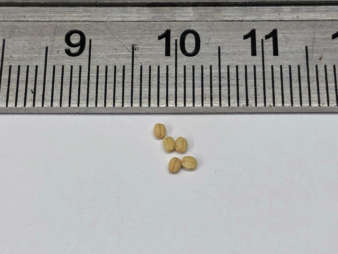 drydockmodelsandparts.com